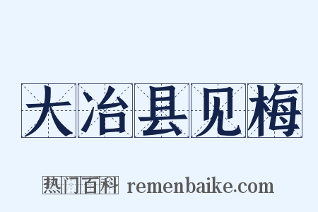 大冶县见梅是什么意思的图片